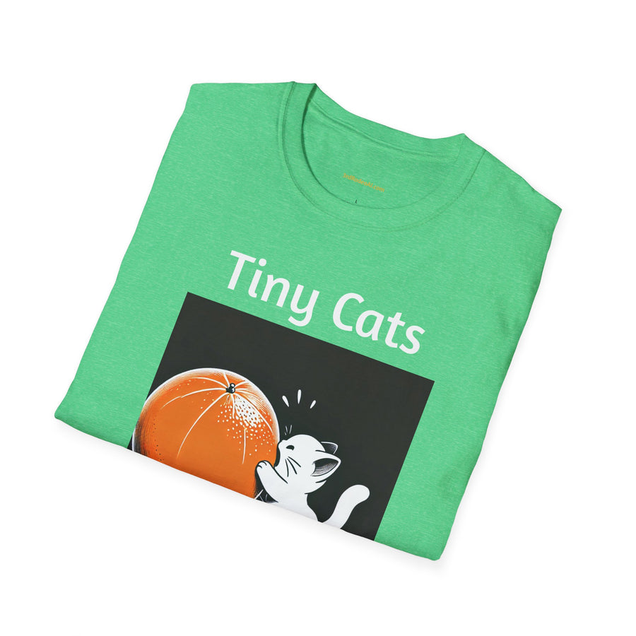 Tiny Cats Eat Oranges