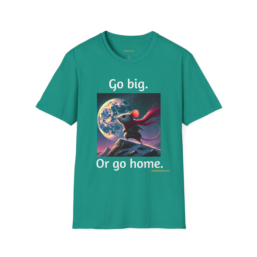 Go Big.  Or Go Home.
