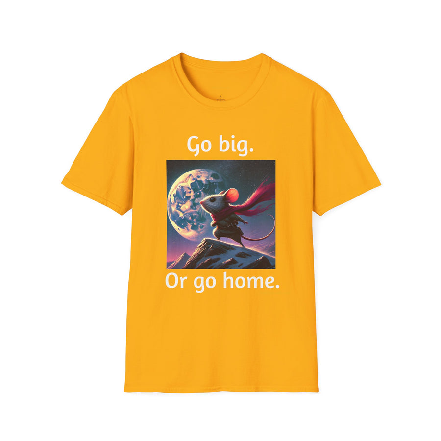 Go Big.  Or Go Home.